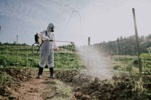 Best Best Pest Control Companies  in Cheat Lake, WV