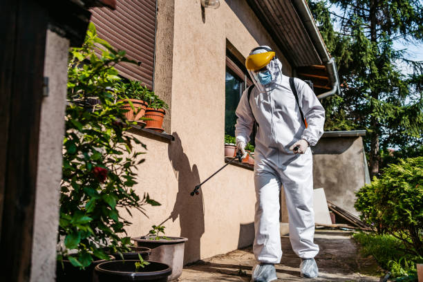 Best Flea Control Services  in Cheat Lake, WV