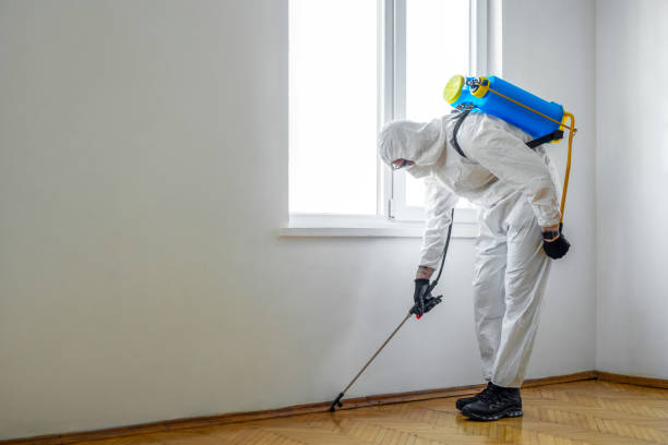 Best Local Pest Control Services  in Cheat Lake, WV
