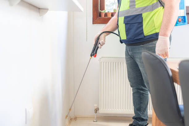 Best Local Pest Control Services  in Cheat Lake, WV