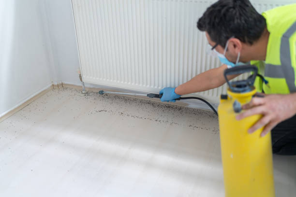 Professional Pest Control in Cheat Lake, WV